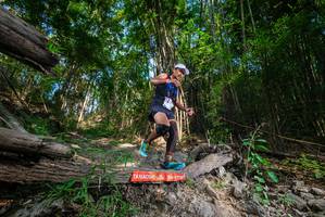 BIB: 
                            <button type="button" onclick="openModal(19387108)" class="btn btn-primary btn-sm float-right btn-popup" data-toggle="modal" data-target=".modal-high-quality">
                        <i class="fas fa-shopping-cart"></i> Add to Cart
                    </button>
                                            <button type="button" onclick="isThisMe(19387108, true)" class="btn btn-success btn-sm float-right btn-popup btn-isme hidden" data-toggle="tooltip" data-placement="bottom" title="นี่คือรูปของคุณใช่ไหม คลิกที่นี่เพื่อเอาเข้าอัลบั้ม">
                        <i class="fas fa-plus"></i> Add to album
                    </button>
                    <button type="button" onclick="isThisMe(19387108, false)" class="btn btn-warning btn-sm float-right btn-popup btn-isnotme hidden">
                        <i class="fas fa-ban"></i> Remove from album
                    </button>